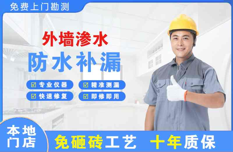 东西湖外墙渗水维修